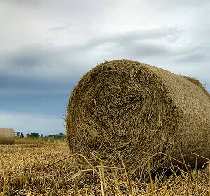 Agri-Tech and Innovation  Updates - 必赢
