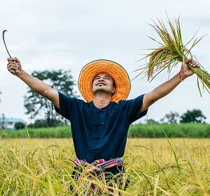 Agri-Tech and Innovation  Updates - 必赢