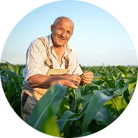 Revolutionizing the Way  Food is Grown - 必赢