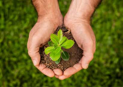 Organic Farming Solutions - 必赢