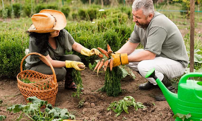 Revolutionizing the Way Food is Grown - 必赢