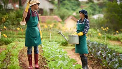Revolutionizing the Way Food is Grown - 必赢